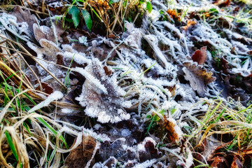 Funkelndes Eiskristalle am Boden am frühen Morgen nach einer frostigen Winternacht