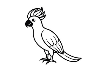 Obraz premium Outlined Cockatoo Bird Drawing Feathers, Beak, Crest, Wing, Tail