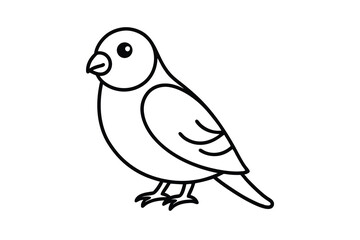 Fototapeta premium Simple Line Drawing of a Small Bird, Avian Illustration
