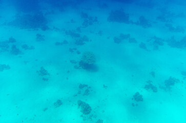 Serene underwater scene with turquoise tones and soft light