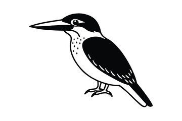 Black and White Kingfisher Bird Illustration, Wildlife Art