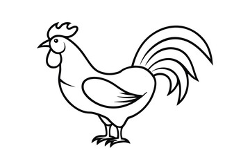 Rooster Illustration Line Art, Farm Animal, Poultry, Cock, Bird