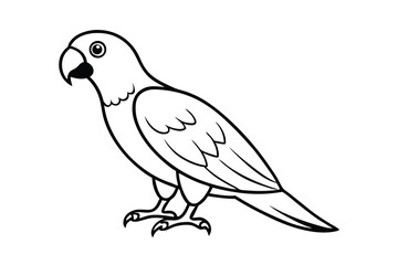 Black and White Parrot Illustration Simple Line Drawing
