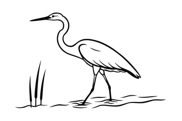 Elegant White Heron Bird Wetland Nature Wildlife Line Art Graphic