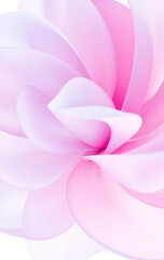 Blooming with delicate petals in shades of soft pink, an enchanting floral wonder unfolds gracefully