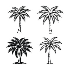 Tropical palm silhouettes evoke summer island beach vibes