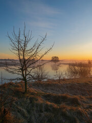 Obraz premium misty sunrise over the lake with trees