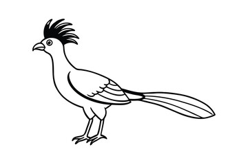 Line Art Drawing of a Hoopoe Bird with Crest and Long Tail