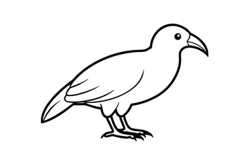 Simple Line Drawing of a Bird Avian Illustration, Outline, Sketch