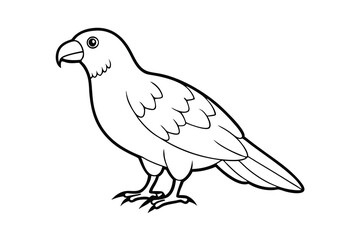 Line Art Drawing of a Bird Parrot, Avian, Wildlife, Nature