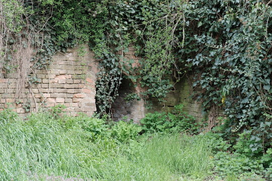 Old arched entrance overgrown with ivy and wild plants in Petrovaradin Fortress, Serbia. Mysterious hidden doorway in historic brick wall, possibly leading into underground tunnels.