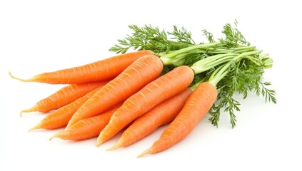 Fresh carrots with green tops (2)