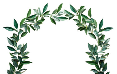 Obraz premium PNG Wreath plant leaf architecture.