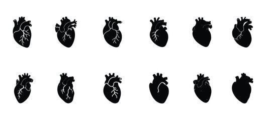 Heart Anatomy Silhouettes