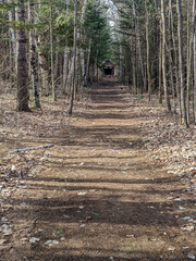A tranquil forest path surrounded by tall trees leads to a rustic wooden cabin, showcasing the serenity and peacefulness of nature.