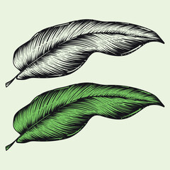 Leaves Vintage Vector Illustration