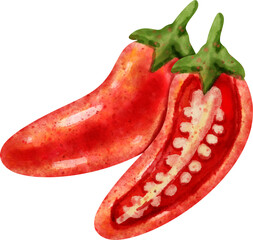 watercolor chili pepper