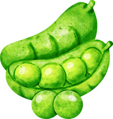 watercolor pea