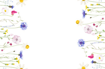 Watercolor floral seamless border. Wild meadow blue cornflowers, chamomile, pink, violet, orange, yellow flowers, herb