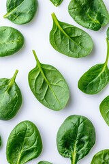 Fototapeta premium Fresh spinach leaves arranged neatly, showcasing vibrant green h