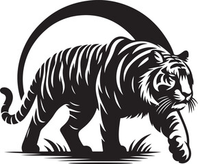 tiger on a white background