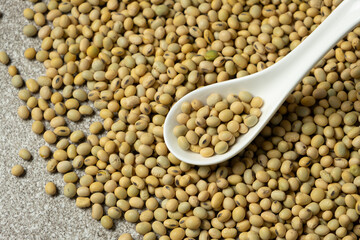 Uncooked soybean seeds in a spoon