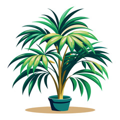 Obraz premium Tropical palm tree in a pot with beach vibe illustration