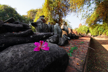A serene landscape featuring ancient stone sculptures partially covered by foliage, with a vibrant...