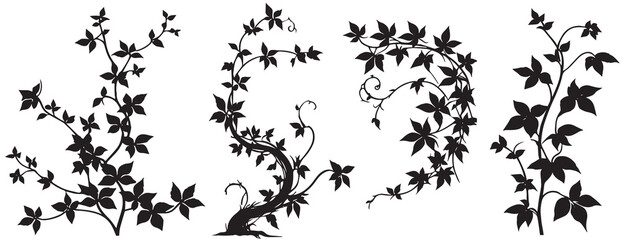 ivy plant branch set silhouette vector art illustration
