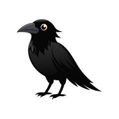 Fototapeta premium crow on a white background