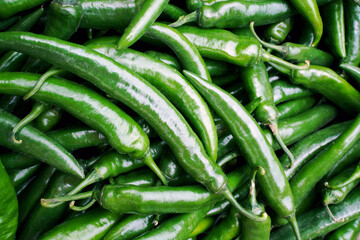 Green hot chili peppers as food background. Raw green spicy hatch peppers for texture.