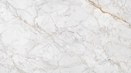 A minimalist marble texture background with a white marble surface featuring gray and black veining, natural and flowing patterns