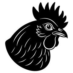 rooster isolated on white background