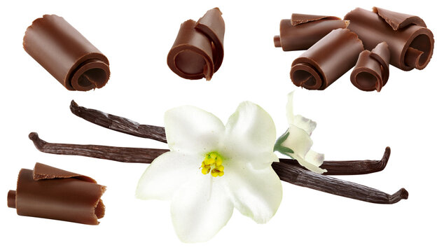 flor de baunilha acompanhado de raspas de chocolate ao leite isolado em fundo transparente