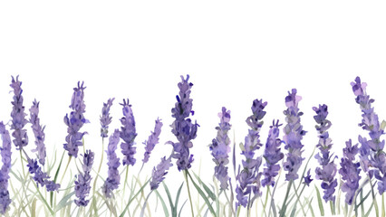 Naklejka premium PNG Lavender blossom flower plant.