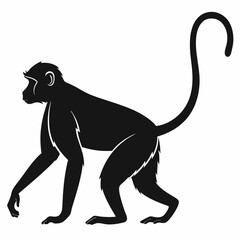 Obraz premium monkey black silhouette icon vector