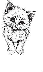 Cute kitten. Hand drawn vector illustration