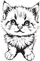 Cute kitten. Hand drawn vector illustration