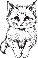 Cute kitten. Hand drawn vector illustration
