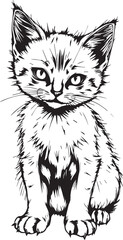 Cute kitten. Hand drawn vector illustration