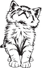 Cute kitten. Hand drawn vector illustration