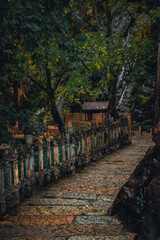 Wangxian Valley, 08 Dec 2024 China, Scenic mountain cliffside path view, surrounded by nature and forest. This travel destination features natural beauty remote village, and traditional architecture.