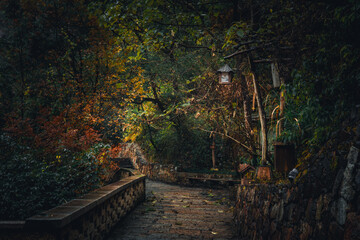 Wangxian Valley, 08 Dec 2024 China, Scenic mountain cliffside path view, surrounded by nature and forest. This travel destination features natural beauty remote village, and traditional architecture.