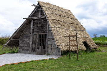 A reconstructed Neolithic hut with a thatched roof and wooden framework, showcasing ancient building techniques in a natural setting.