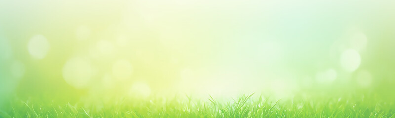 Light green wide banner background with natural elements. The soft and calming shade of green creates a pleasant atmosphere.