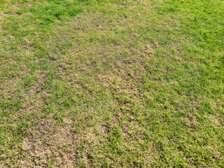 Close-up view of a patchy grass field showing healthy green spots alongside dry, brown patches, symbolizing the need for lawn care and maintenance.