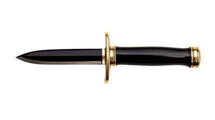 Elegant dagger with a black blade and golden accents displayed
