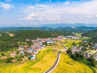 Aerial photography of autumn harvest in rural countryside