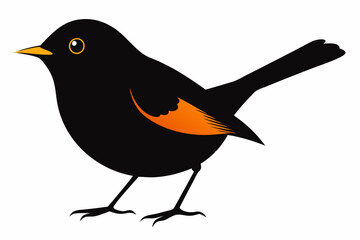 Fototapeta premium Orange crowned warbler silhouette vector