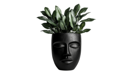 A striking black planter shaped like a face holds lush green leaves